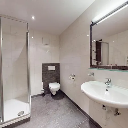 Alpenstern Apartment *